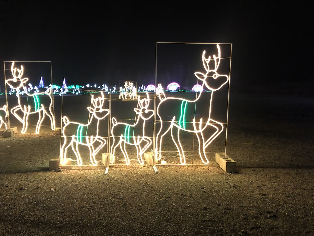 Santas Rock N Lights | 1060 E Peterson Rd, Grayslake, IL 60030, USA | Phone: (224) 757-5425