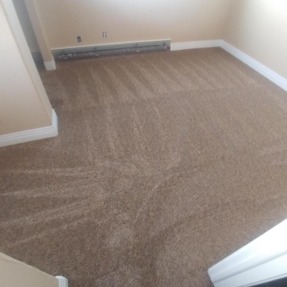 Carpet Elegance | 35322 Private #035, Kiowa, CO 80117, USA | Phone: (303) 840-8713