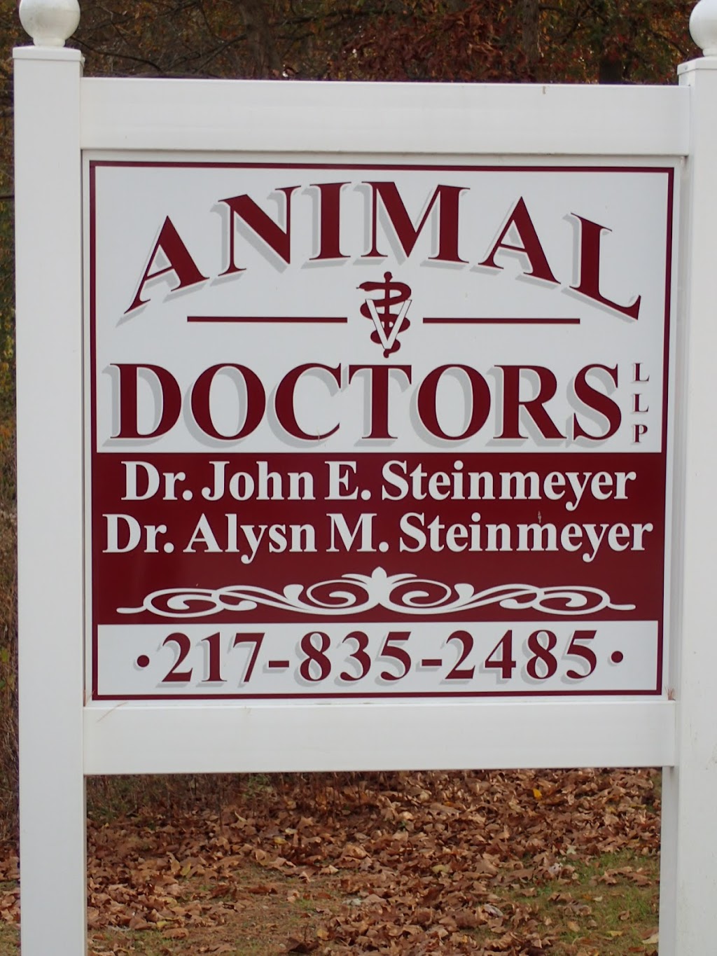 Dr. John Steinmeyer | 195 State Rte 4, Staunton, IL 62088, USA | Phone: (217) 835-2485