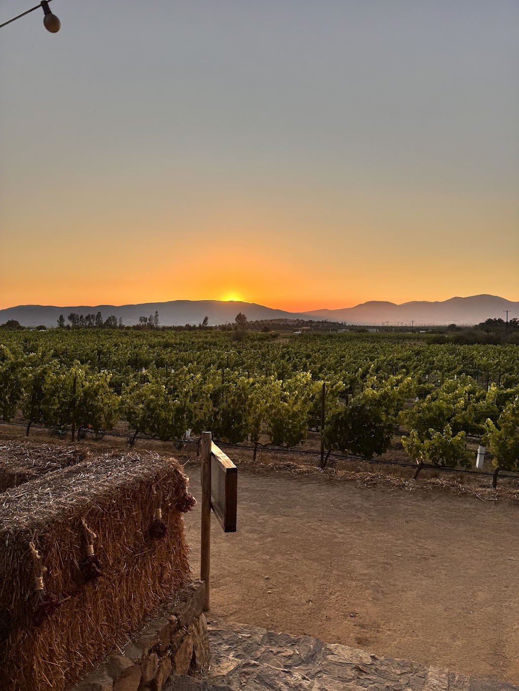 Deckmans | Carretera Ensenada-Tecate Km. 85.5 San Antonio de Las Minas, 22753 Francisco Zarco, B.C., Mexico | Phone: (619) 721-4820