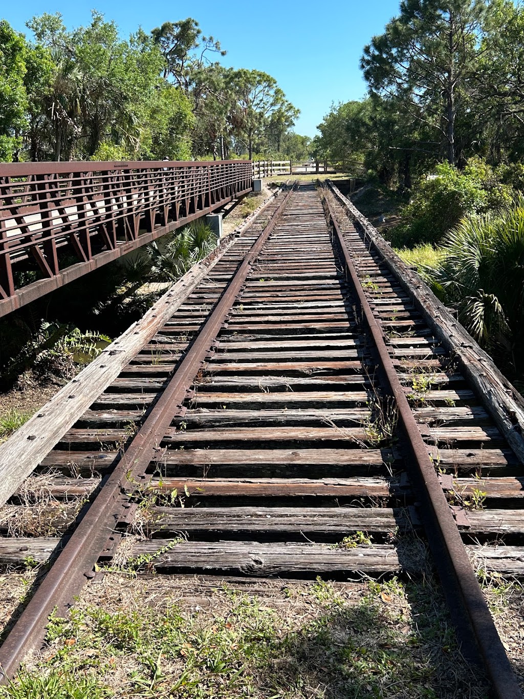 Oscar Scherer State Park | 1843 S Tamiami Trail, Osprey, FL 34229, USA | Phone: (941) 483-5956