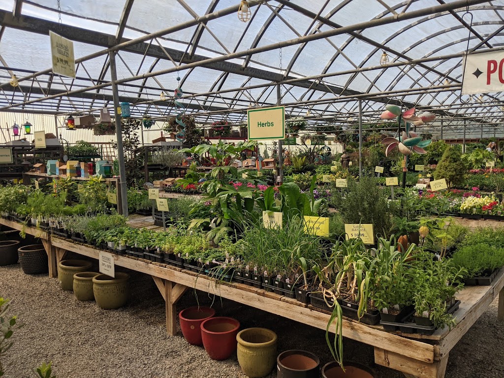 Edgewood Nursery & Garden | 11000 36th St E, Edgewood, WA 98372, USA | Phone: (206) 339-0170