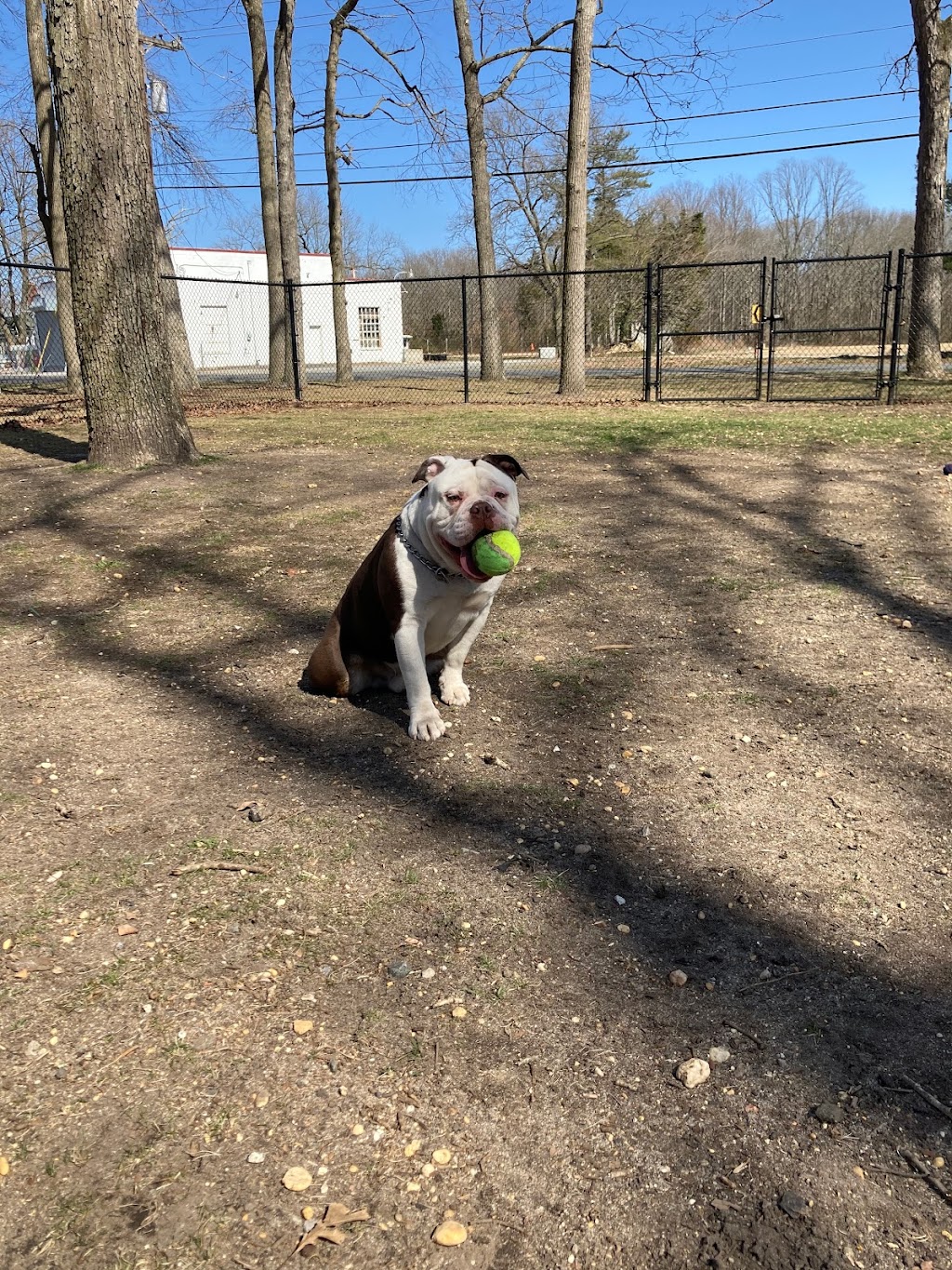 City of Vineland Dog Park | Vineland, NJ 08361, USA | Phone: (856) 794-4084