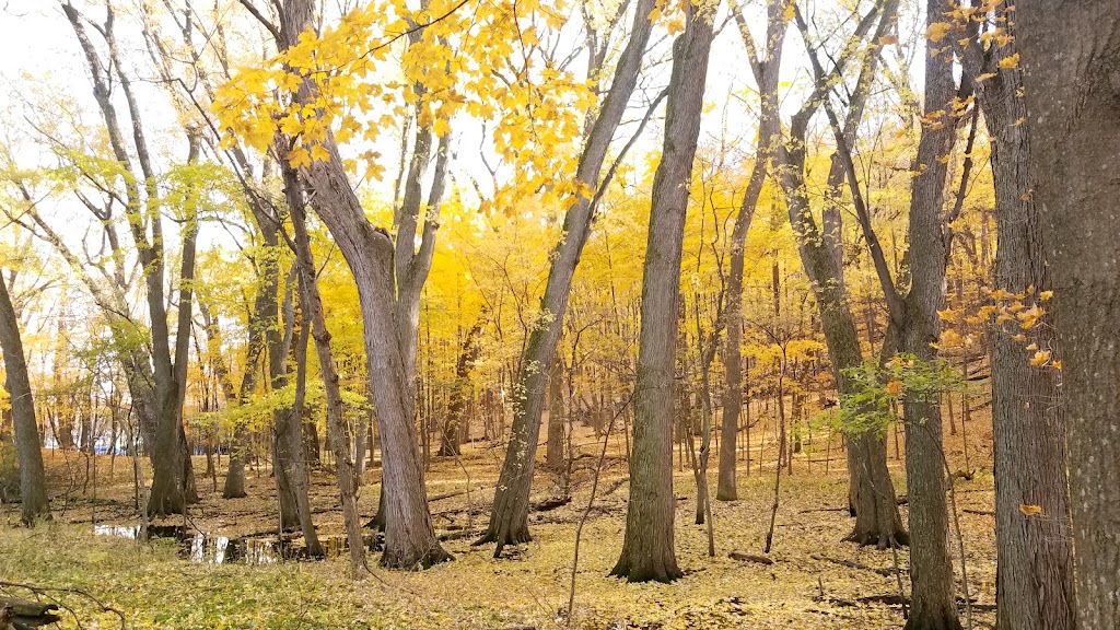 Lake Minnetonka Regional Park Boat Launch | 4610 County Rd 44, Minnetrista, MN 55331, USA | Phone: (763) 694-7754