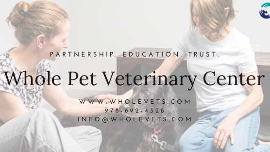 Whole Pet Veterinary Center | 270 Littleton Rd Suite #20, Westford, MA 01886, USA | Phone: (978) 506-4989