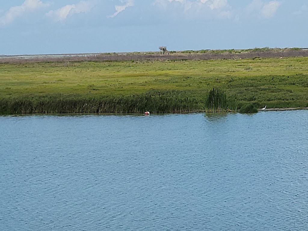 Leonabelle Turnbull Birding Center | 1356 Ross Ave, Port Aransas, TX 78373, USA | Phone: (361) 749-4111