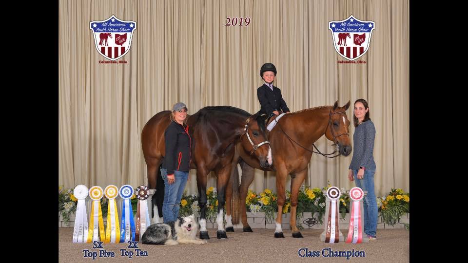 sns show horses | U-573, Co Rd 4, Liberty Center, OH 43532, USA | Phone: (856) 381-7305