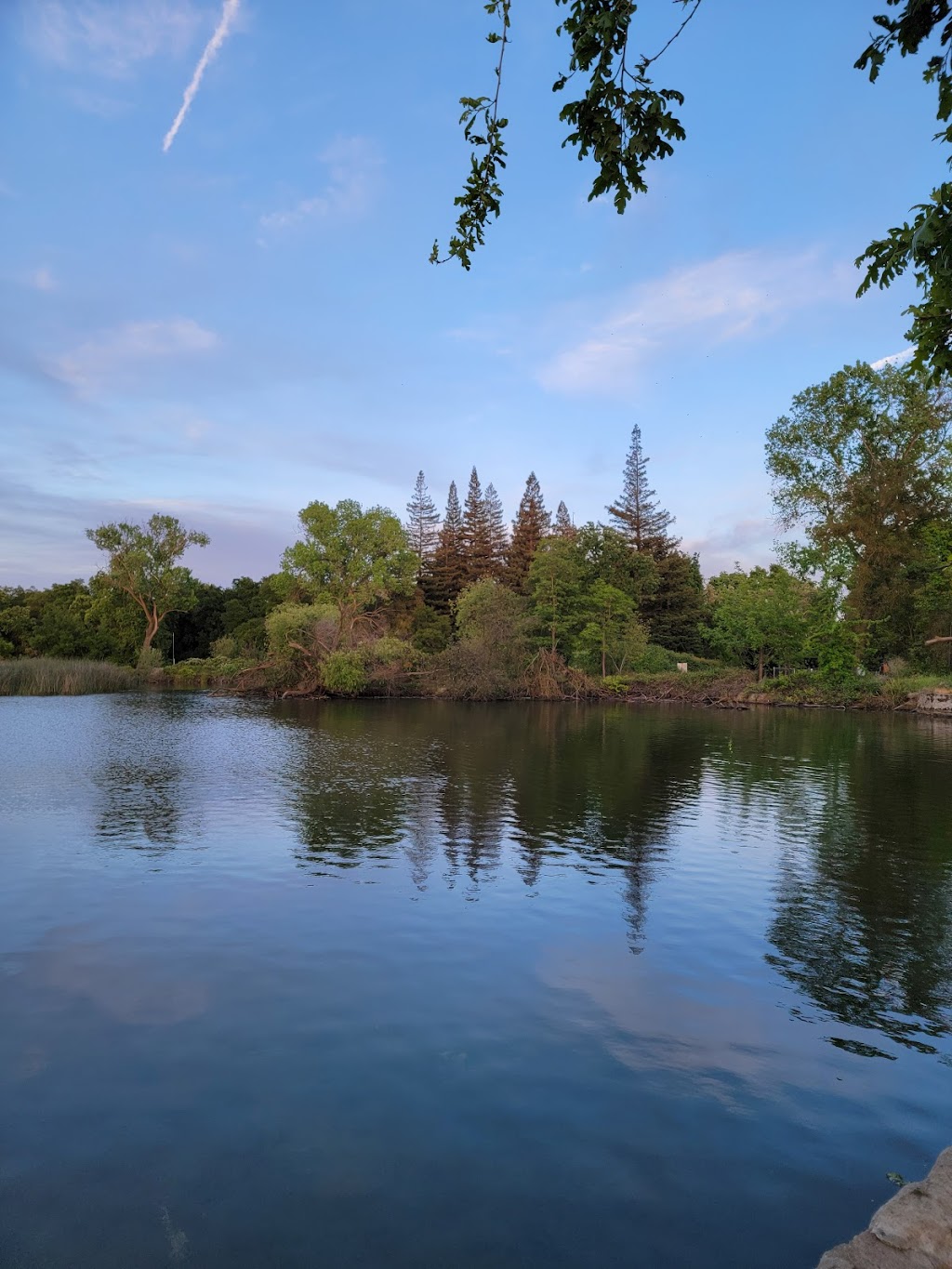 Blakely Park Pool | 1050 S Stockton St, Lodi, CA 95240, USA | Phone: (209) 333-6742