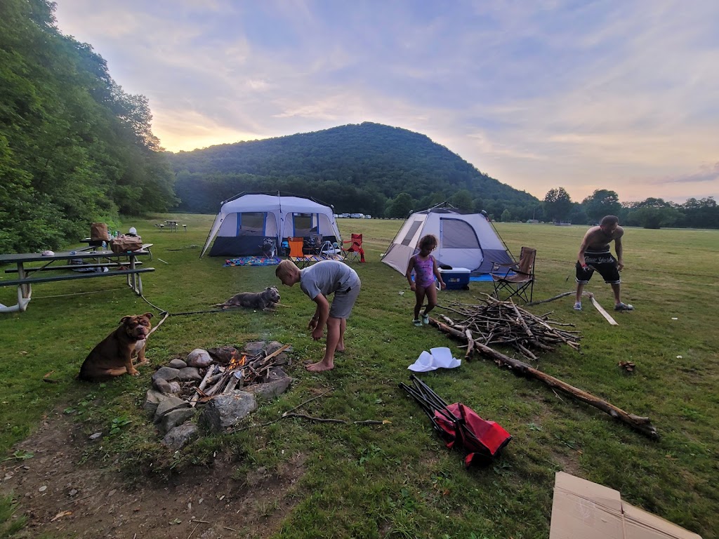 Broken Wheel Campground | 61 Broken Wheel Rd, Petersburgh, NY 12138, USA | Phone: (518) 658-2925