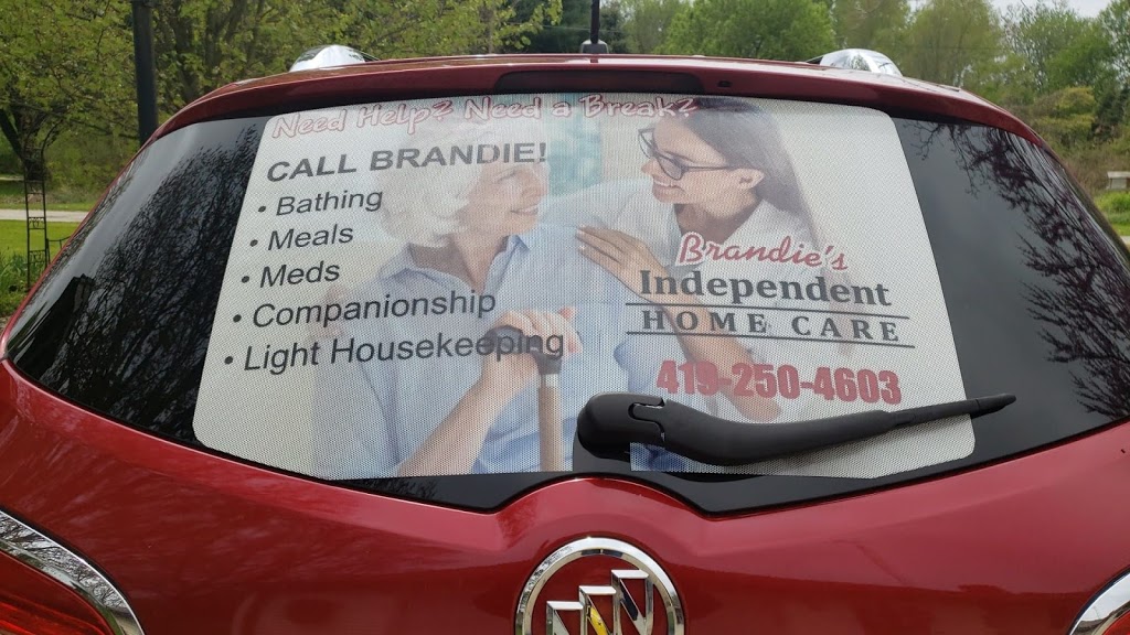 Brandies Independent Home Care, LLC | 3320 Jerome, Temperance, MI 48182, USA | Phone: (734) 568-0286