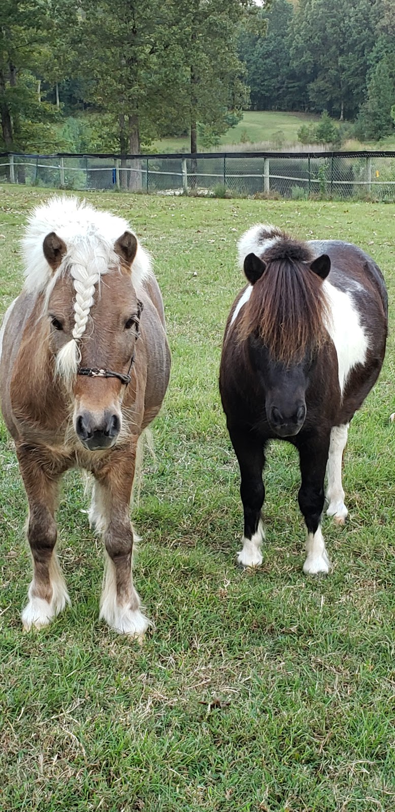 A Stable Connection Counseling Center | 2599 Lower Moncure Rd, Sanford, NC 27330, USA | Phone: (919) 421-7055