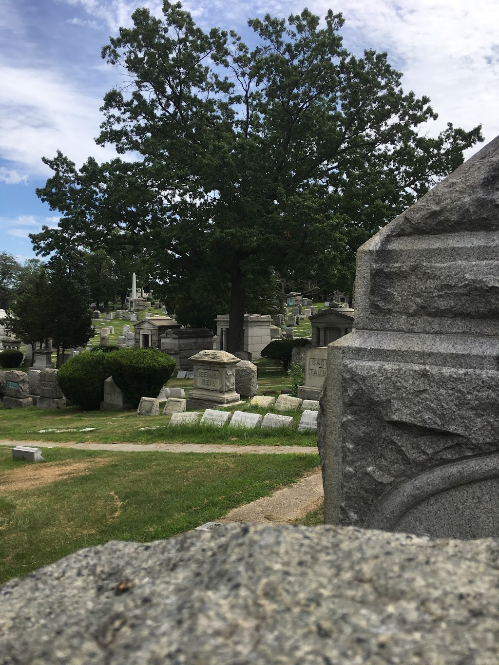 Shastone Memorials | 112 Northern Blvd, Great Neck, NY 11021, USA | Phone: (516) 487-4600