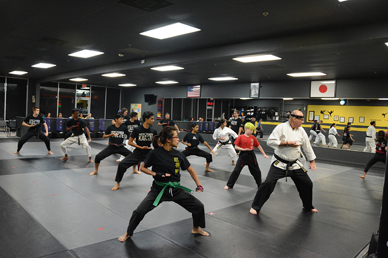 New Tampa Karate | 10012 Cross Creek Blvd, Tampa, FL 33647, USA | Phone: (813) 994-7809