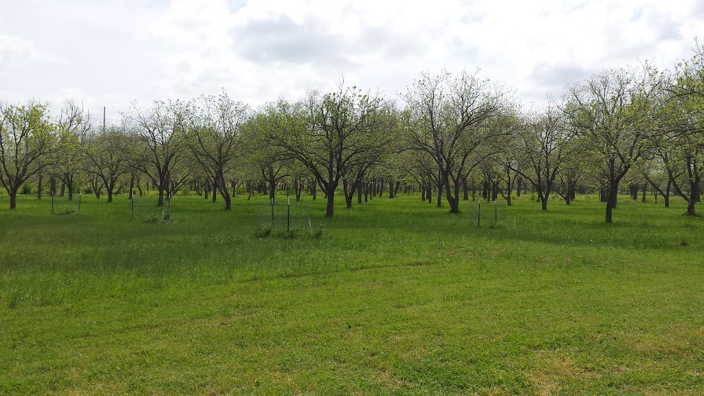 Yegua Creek Farms Pecan Orchard | 4600 Co Rd 467, Elgin, TX 78621, USA | Phone: (512) 856-0192