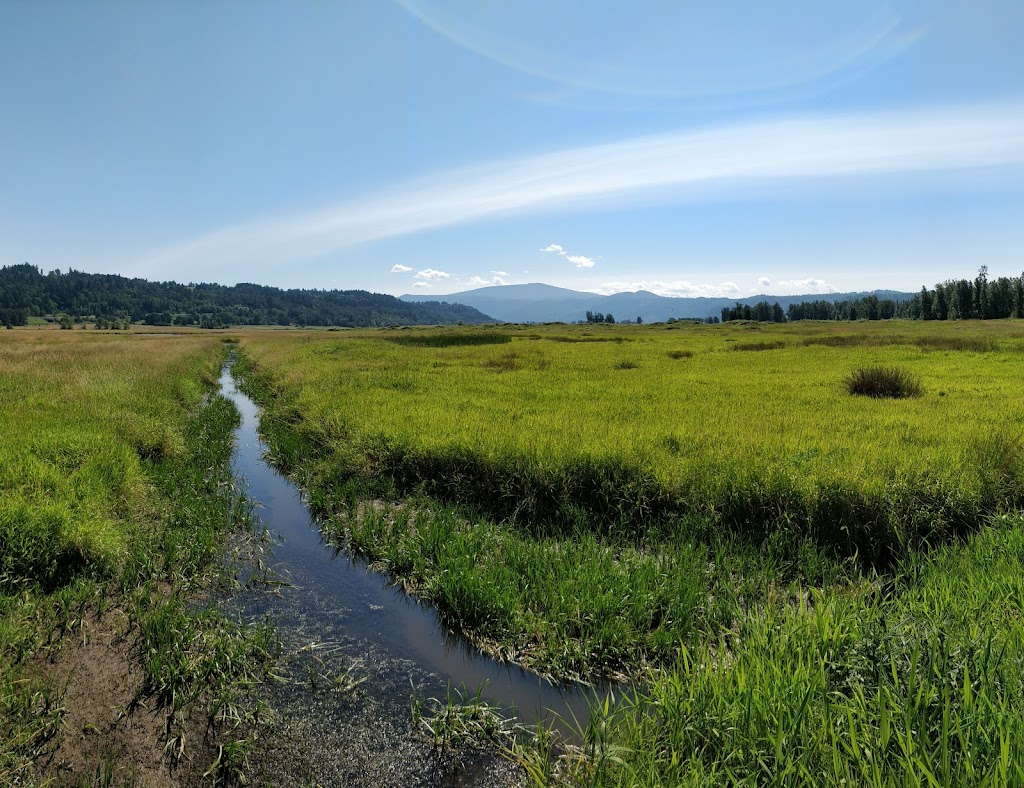 Steigerwald Lake National Wildlife Refuge Kiosk | Gibbons Creek Wildlife Art Trail, Washougal, WA 98671, USA | Phone: (580) 277-2510