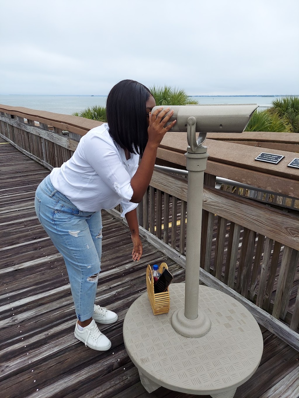 Rotary Centennial Nature Center at Honeymoon Island State Park | 1 Causeway Blvd, Dunedin, FL 34698, USA | Phone: (727) 241-6102