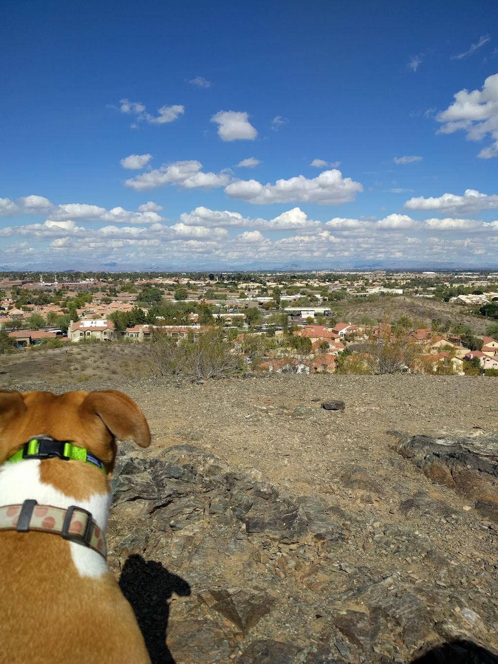Sun Ray Park | 4059 E Ray Rd, Phoenix, AZ 85044, USA | Phone: (602) 262-6111 Sun Ray Park | 4059 E Ray Rd, Phoenix, AZ 85044, USA | Phone: (602) 262-6111