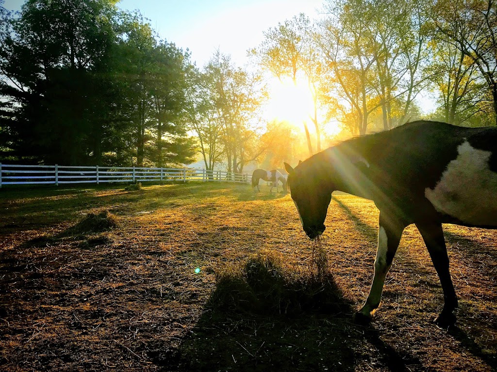 Sunnyside Farm LLC | 1935 Sunnyside Rd, Vermilion, OH 44089, USA | Phone: (419) 239-1460