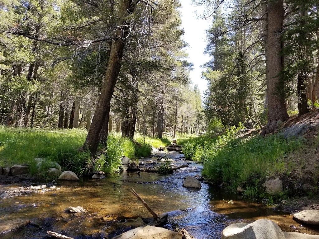 Blackrock Trailhead | Fish Creek, Inyokern, CA 93527, USA | Phone: (559) 539-2607 ext. 2276