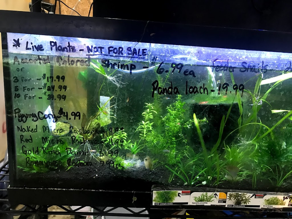 Aquatics Galore LLC | 515 W Funderburg Rd, Fairborn, OH 45324, USA | Phone: (937) 422-0478