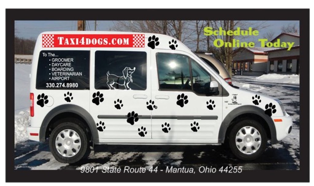 The Nannys Salon For Dogs, LLC | 9801 OH-44, Mantua, OH 44255, USA | Phone: (330) 274-8980