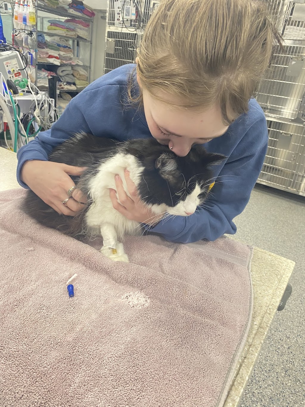 Kendall County Veterinary Center | 141 TX-46, Boerne, TX 78006, USA | Phone: (830) 336-2041