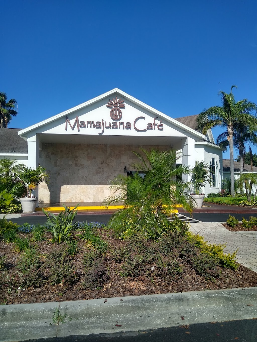 Mamajuana Cafe Tampa | 9202 Anderson Rd, Tampa, FL 33634, USA | Phone: (813) 402-2281