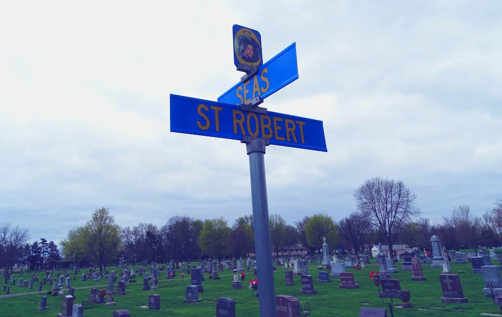 Saint Boniface Cemetery | US-61, Hastings, MN 55033, USA | Phone: (773) 561-2790