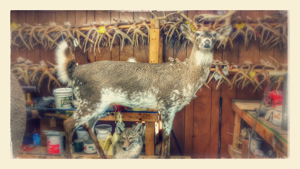 Gregs Quality Taxidermy | 216 Kennan Dr, Greensburg, PA 15601, USA | Phone: (724) 493-9182