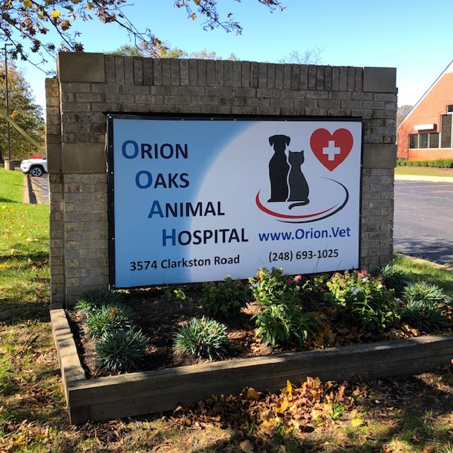 Orion oaks animal hospital | 3574 Clarkston Rd, City of the Village of Clarkston, MI 48348, USA | Phone: (248) 693-1025