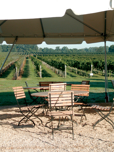 LI Vineyard Tours | 111 Albany Ave, Freeport, NY 11520 | Phone: (516) 946-3868