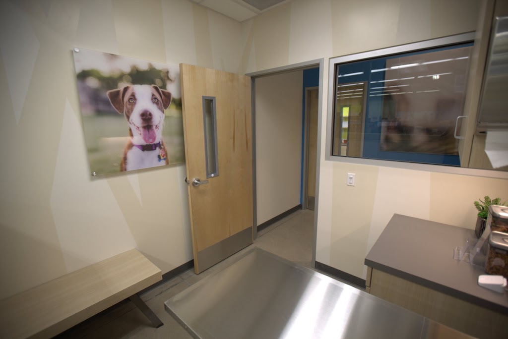 THRIVE Affordable Vet Care | 27580 W Lugonia Ave, Redlands, CA 92374, USA | Phone: (909) 748-1858