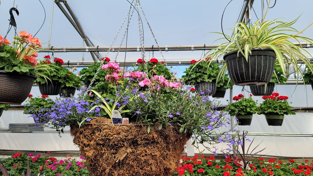 Stoney Acres Greenhouses | 2995 E 150 N, LaGrange, IN 46761, USA | Phone: (260) 463-9963