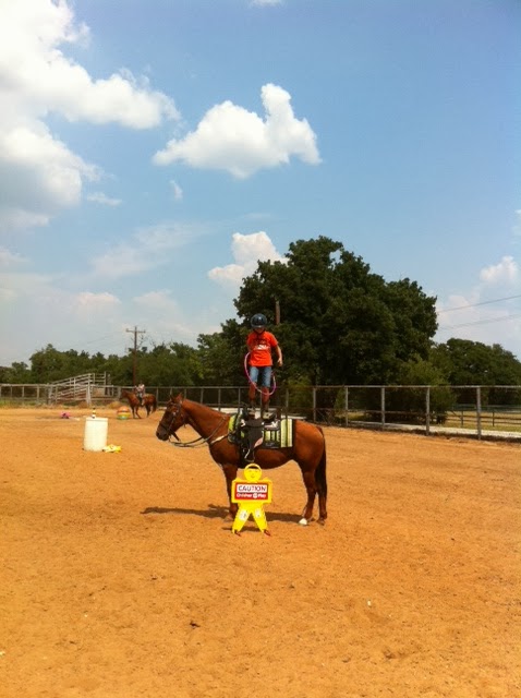 Younger Stables and Arena | 809 Younger Ranch Rd, Azle, TX 76020, USA | Phone: (817) 773-1479