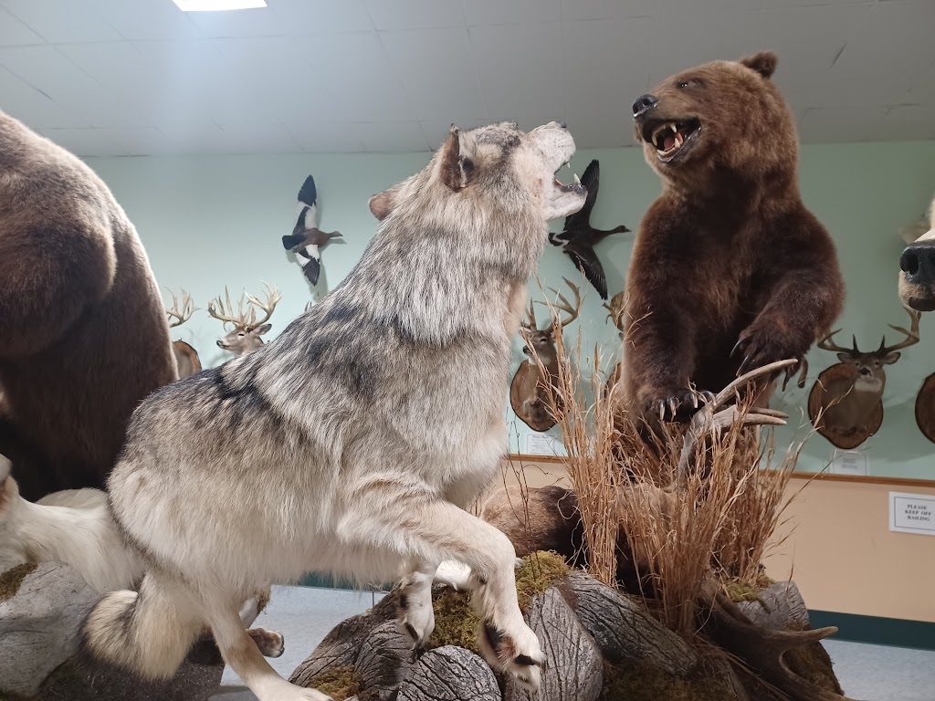 The Wildlife Sports and Educational Museum | 3747 NY-30, Amsterdam, NY 12010, USA | Phone: (518) 762-7925