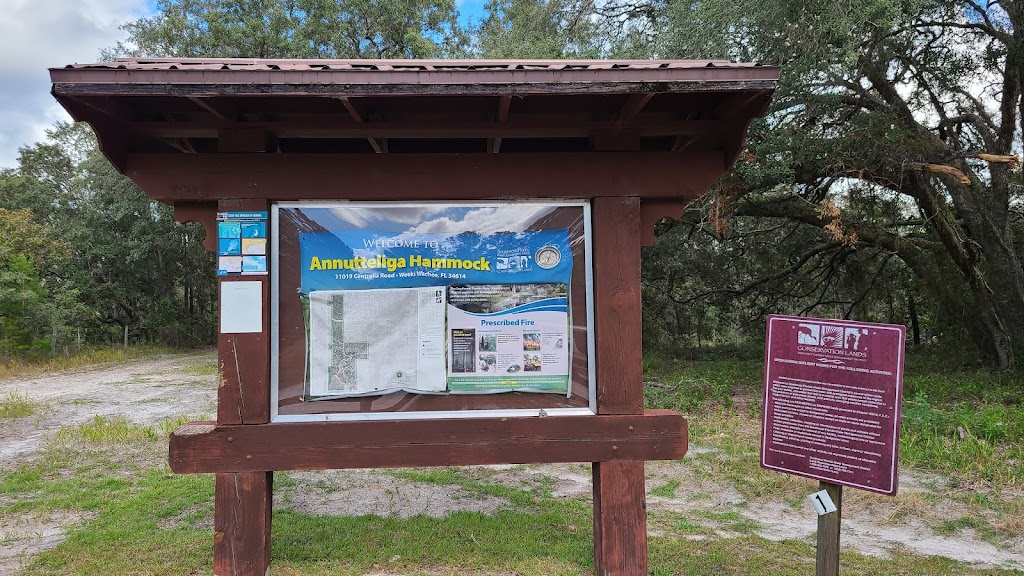 Annutteliga Hammock - Parking for trails | JF74+VC9, Brooksville, FL 34614, USA | Phone: (800) 423-1476