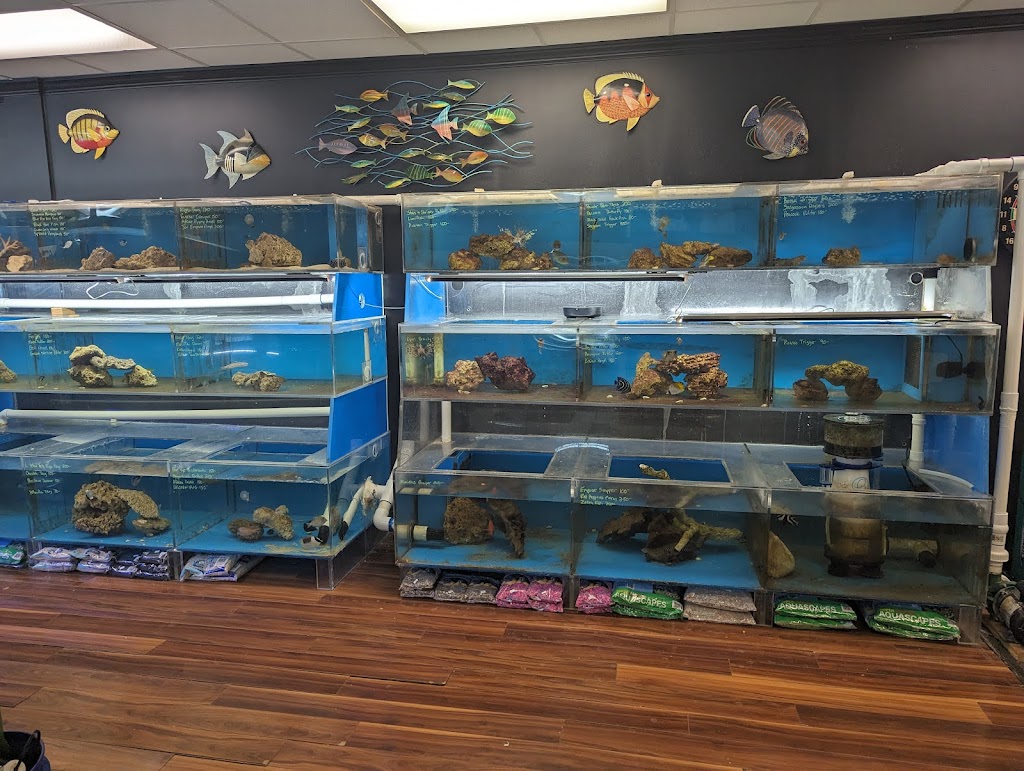 Oasis Aquatics | 915 County Rd 517, Hackettstown, NJ 07840, USA | Phone: (908) 441-2922