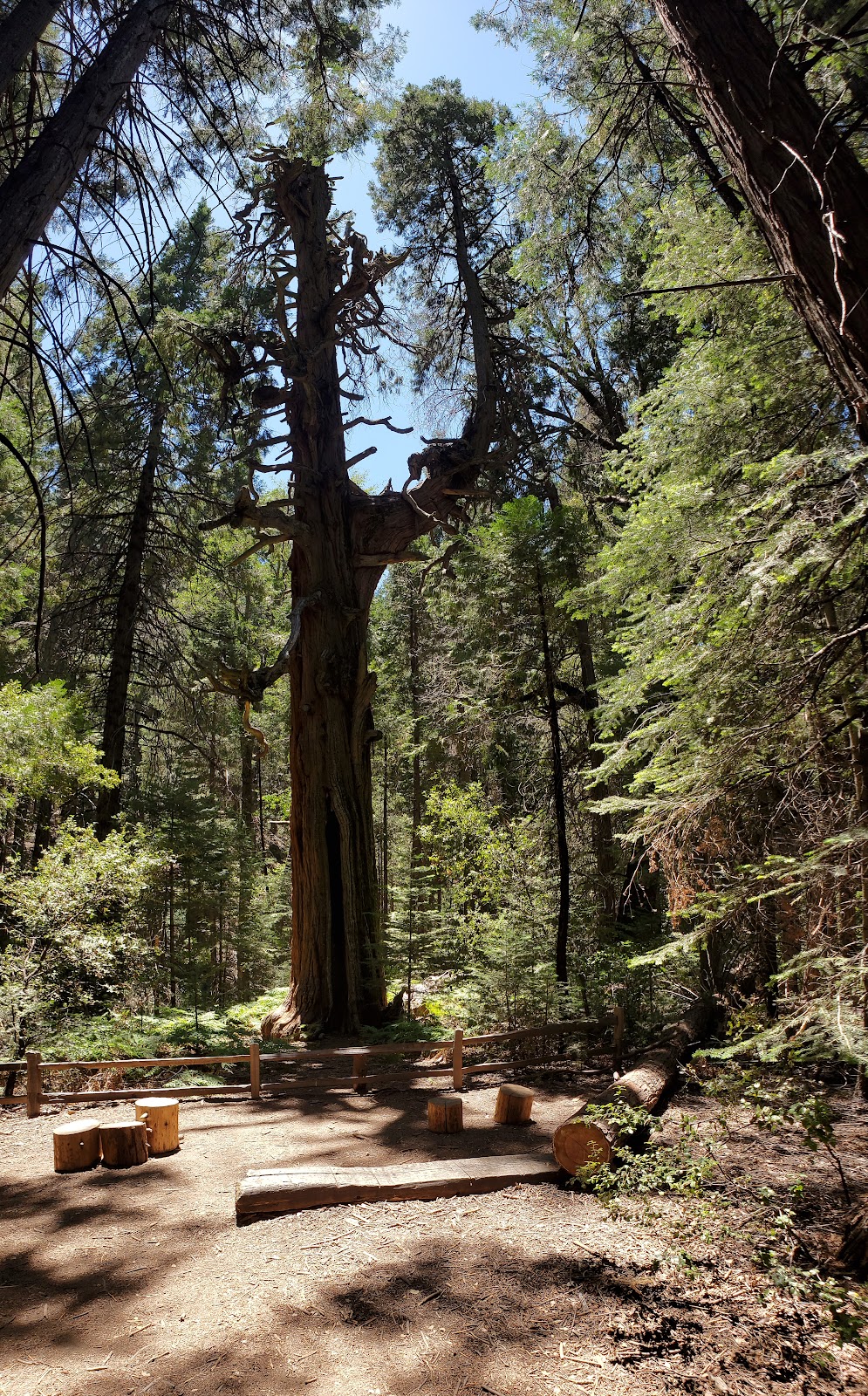 Palomar Mountain State Park | 19952 State Park Drive, Palomar Mountain, CA 92060, USA | Phone: (760) 742-3462