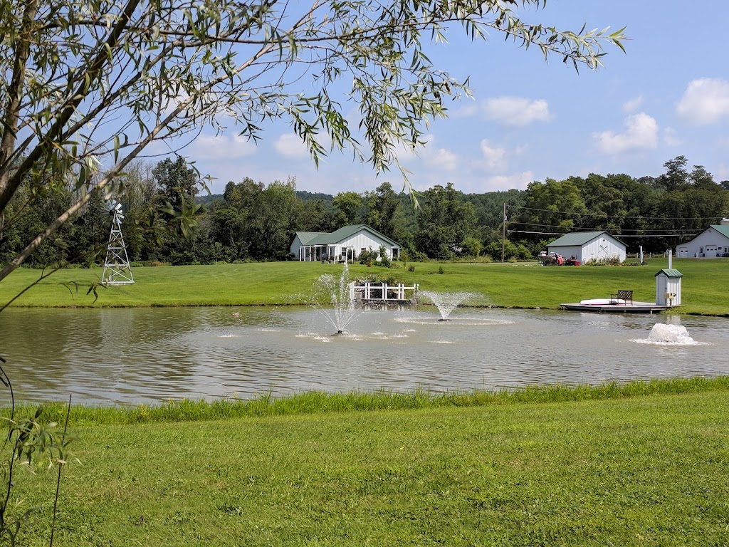 Fish Haven Farm | 978 Owego Rd, Candor, NY 13743, USA | Phone: (607) 659-3474