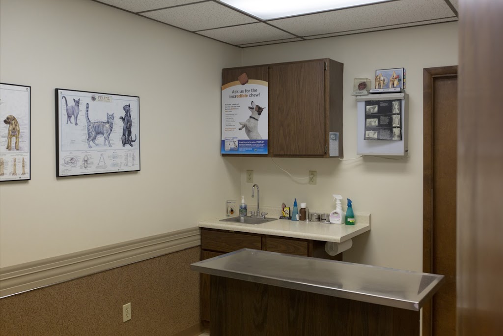 White Oak Veterinary Clinic | 3065 Jacks Run Rd, White Oak, PA 15131, USA | Phone: (412) 844-4618