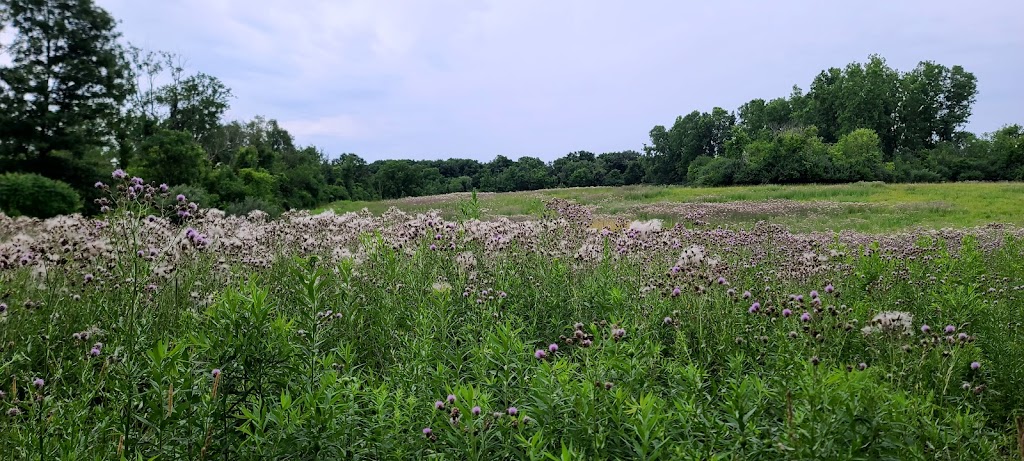 Springhill Nature Preserve | 3296 Berry Rd, Superior Charter Twp, MI 48198, USA | Phone: (734) 484-6565