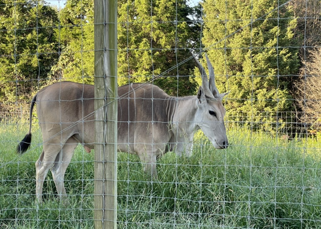Little crooked creek safari | 1430 Little Crooked Creek Rd, Lawrenceburg, KY 40342, USA | Phone: (502) 445-6501