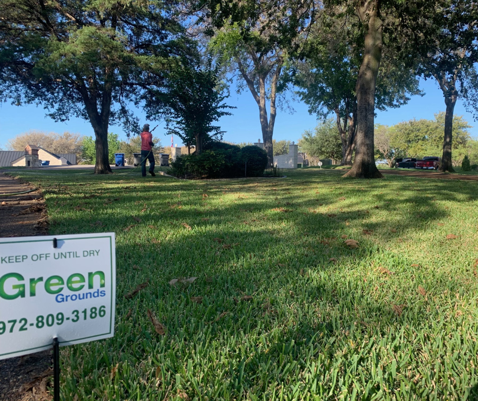 Green-Grounds | 2812 Vail Dr, McKinney, TX 75070, USA | Phone: (972) 809-3186