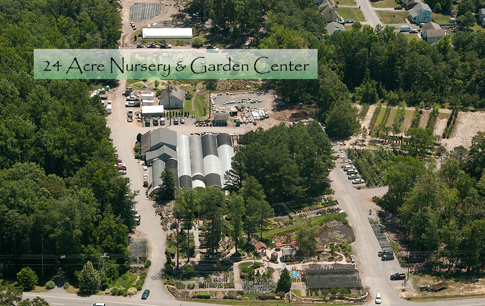 Cross Creek Nursery & Landscaping | 501 Courthouse Rd, Richmond, VA 23236, USA | Phone: (804) 378-0700