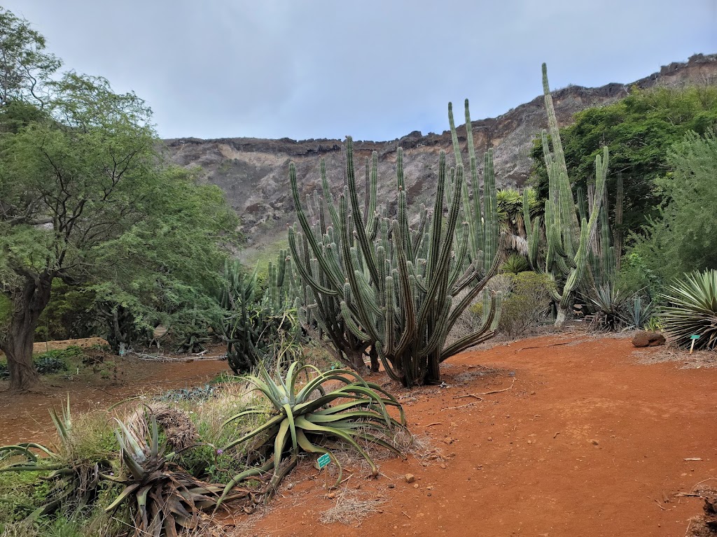 Koko Crater Botanical Garden | 7491 Kokonani St, Honolulu, HI 96825, USA | Phone: (808) 522-7060