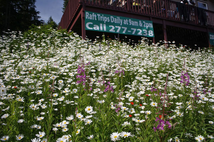 Chugach Outdoor Center | 28069 Hope Hwy, Hope, AK 99605, USA | Phone: (907) 277-7238