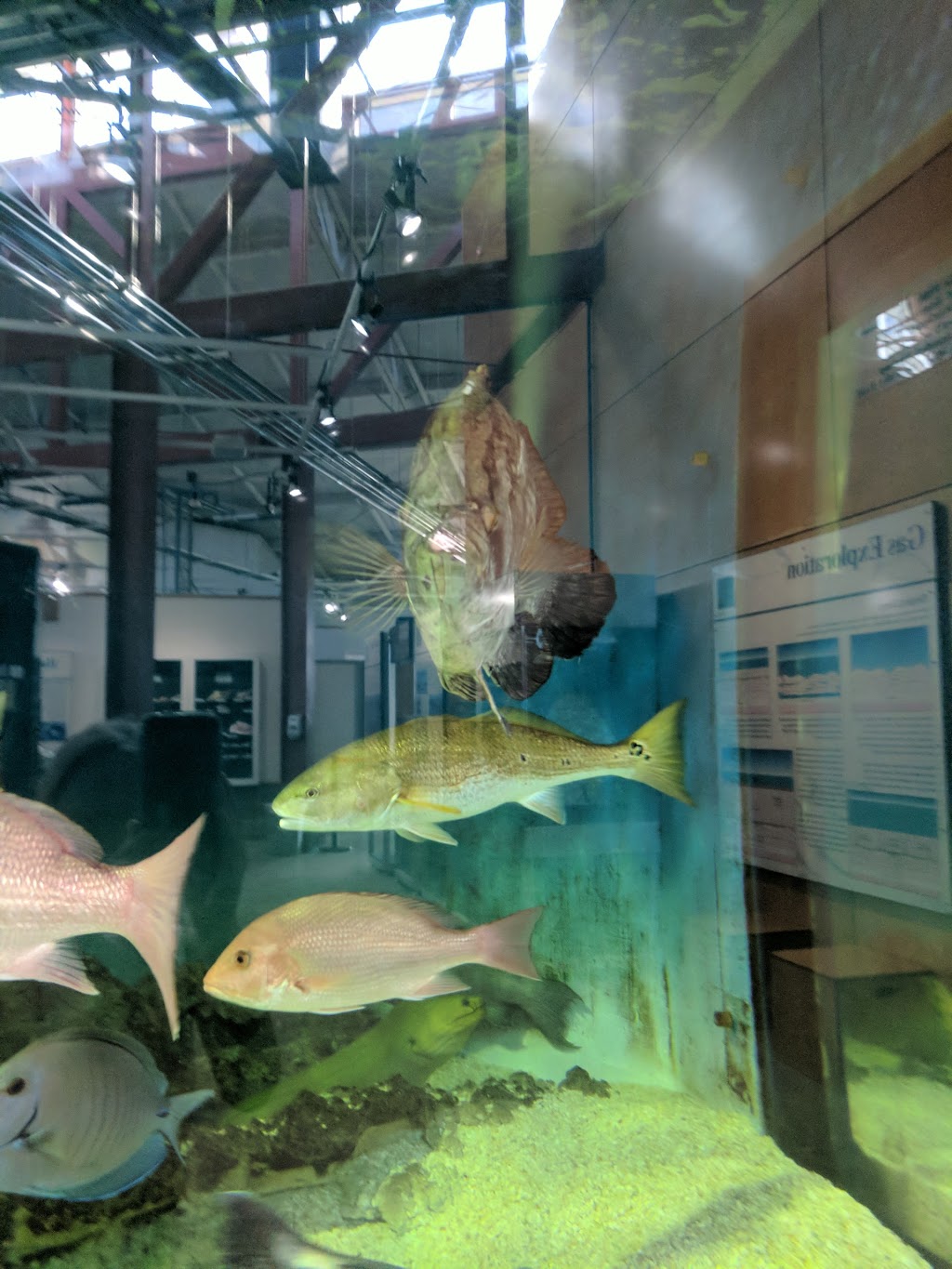 Alabama Aquarium at the Dauphin Island Sea Lab | 102 Bienville Blvd, Dauphin Island, AL 36528, USA | Phone: (251) 861-7500
