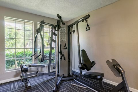 Milana Reserve Apartment Homes | 8730 N Himes Ave, Tampa, FL 33614, USA | Phone: (813) 734-7239