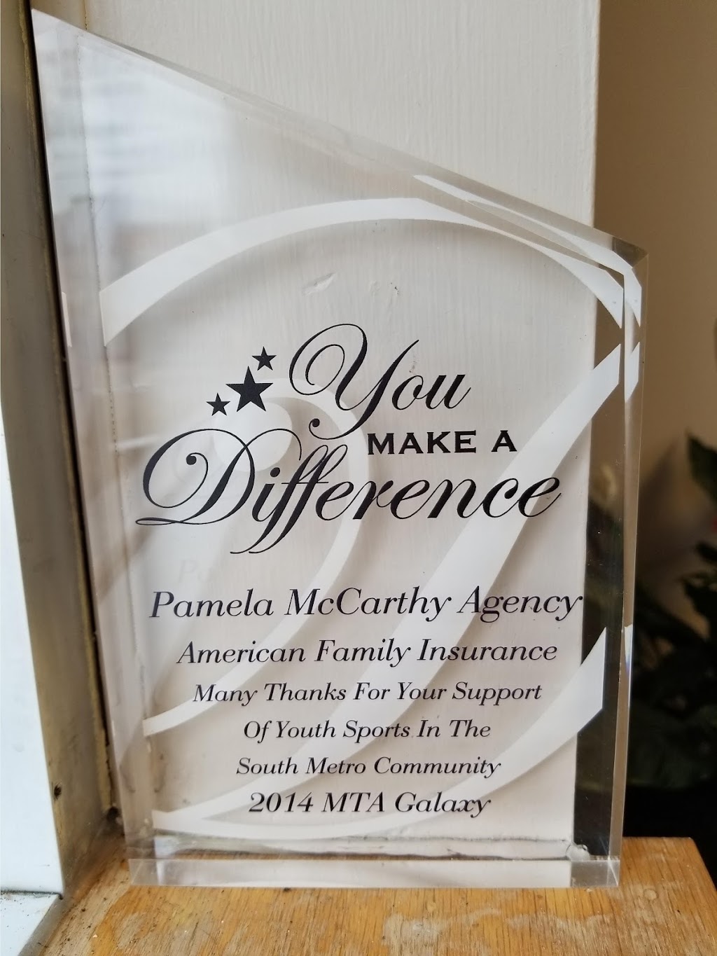 The Pam McCarthy Agency Inc American Family Insurance | 402 3rd St Ste 101, Farmington, MN 55024 | Phone: (651) 460-3333