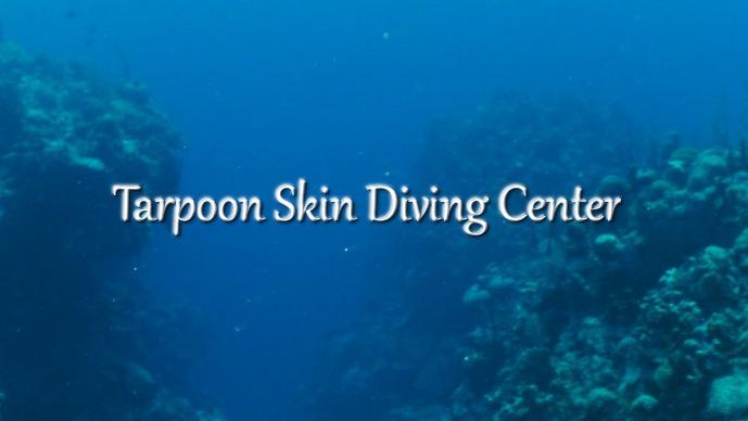 Tarpoon Skin Diving Center | 3200 Palm Ave, Hialeah, FL 33012, USA | Phone: (305) 887-8726
